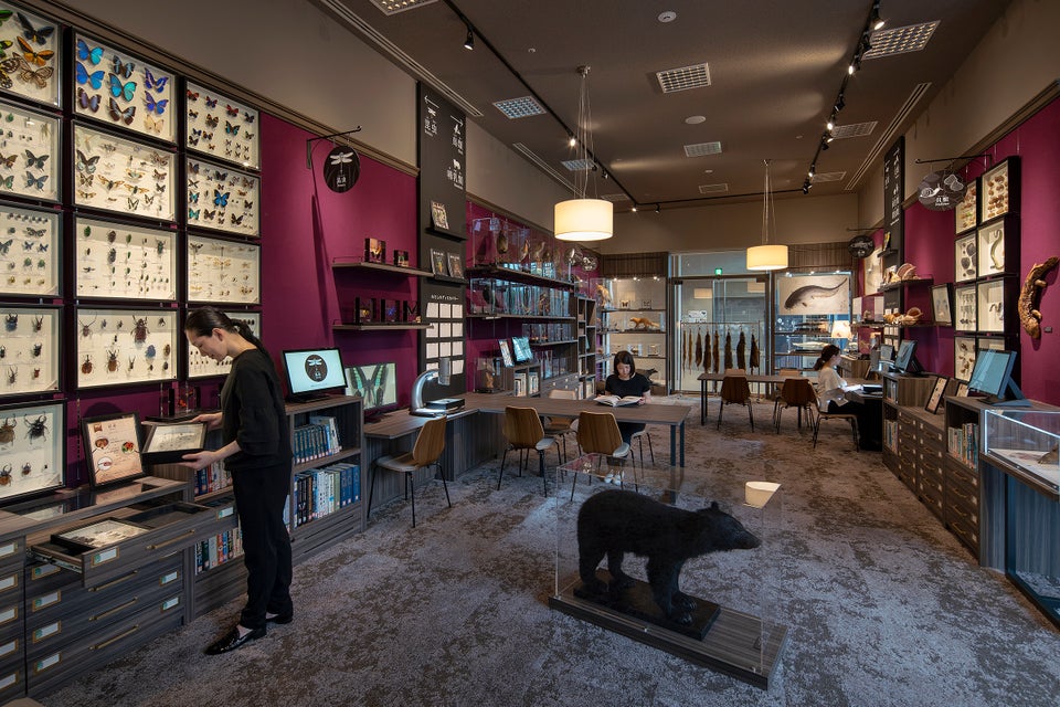 滋賀県立琵琶湖博物館